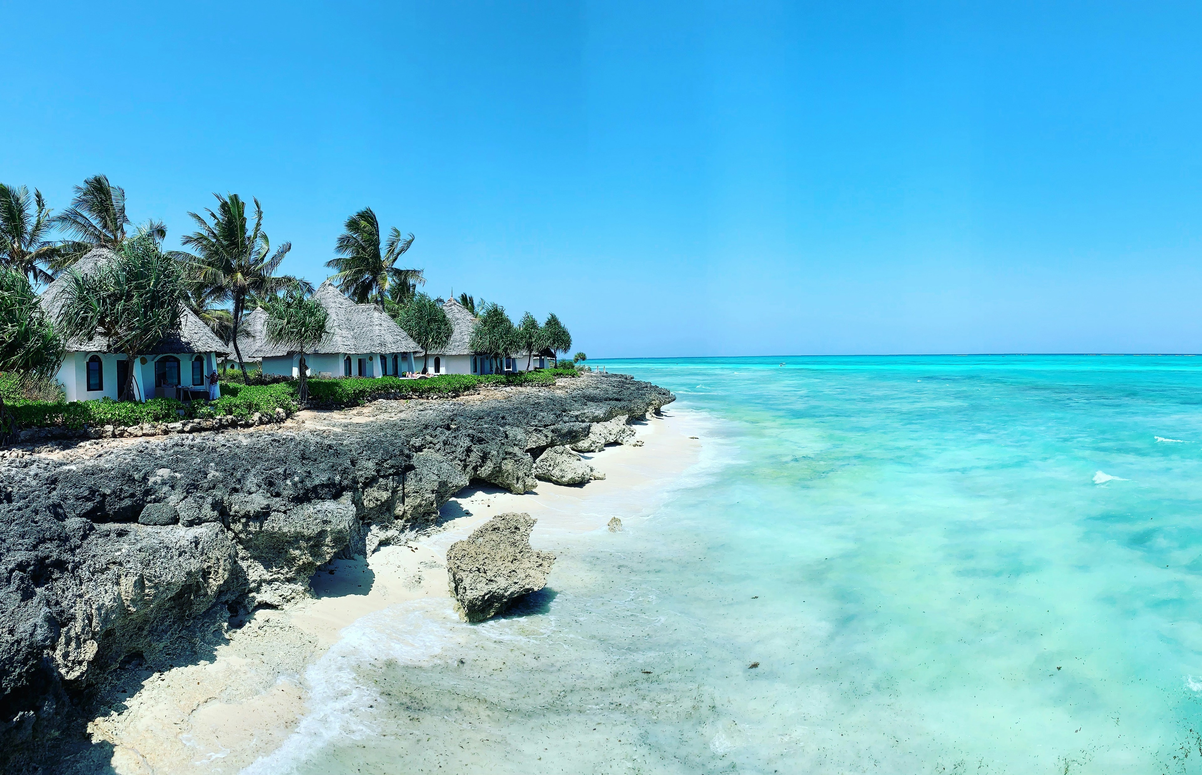 Zanzibaras
